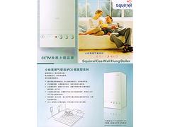 西寧哪里有供品質好的壁掛爐——青海壁掛爐價格