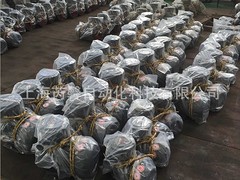 上海芮馨自動化供應全省質(zhì)量{yl}的防爆電機——防爆電機總經(jīng)銷