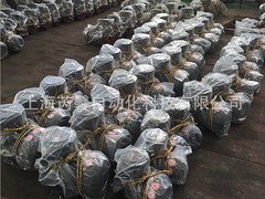 成大減速機(jī)專賣店_上海芮馨自動(dòng)化紙箱機(jī)制作商