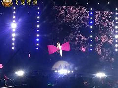 寶山路街道中國好聲音威亞特技 口碑好的影視娛樂節目活動威亞特技推薦選擇飛龍特技