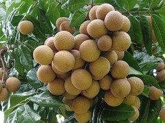 網(wǎng)站推廣優(yōu)化找萬靈鳥信息技術(shù)公司 網(wǎng)站優(yōu)化如何