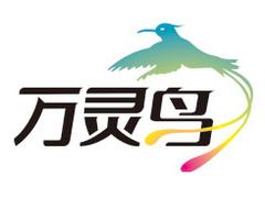 萬靈鳥信息技術(shù)公司提供{yl}的網(wǎng)站推廣優(yōu)化 網(wǎng)站優(yōu)化價(jià)格
