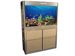 東莞優(yōu)質(zhì)的禮品魚缸特色：廣東韓版小缸禮品魚缸