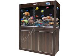 信譽好的小膠缸大中小號禮品魚缸，哪里有賣新品禮品魚缸
