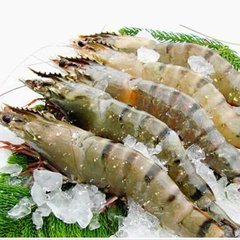 專業(yè)進(jìn)口冷凍水產(chǎn)品清關(guān)代理服務(wù)