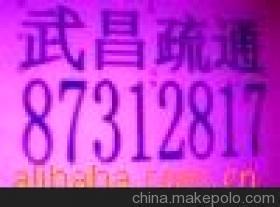 武昌疏通公司87312817武昌抽糞，南湖疏通清理化糞池，水電維修