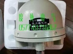 溫州具有xjb的船用繼電器價(jià)格怎么樣，船用壓力繼電器JY2