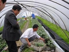 工業(yè)包裝膜多少錢_優(yōu)質(zhì)的工業(yè)包裝膜出售