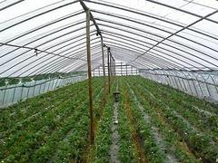 魯光塑料制品——專業的農膜供應商——湖北農膜