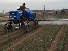 為您推薦優質的運秧機|熱銷運秧機