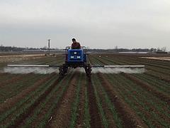 在哪可以買到運苗機——廠家出售運苗機