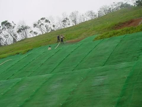 植被网批发——优质三维植被网诚挚推荐