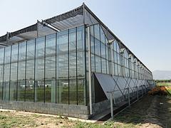 價格合理的生態_萬紅溫室園藝工程公司出售新品生態餐廳溫室