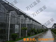 山東口碑好的大棚骨架_山東新型大棚骨架