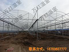 連棟溫室工程公司推薦：濱州連棟溫室工程