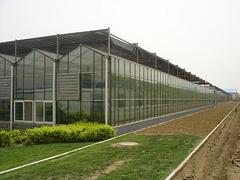 花卉温室大棚建造哪家技术好|设计花卉温室大棚