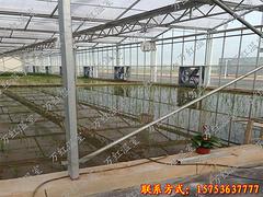 花卉溫室大棚建造哪家技術好|設計花卉溫室大棚