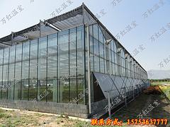 智能溫室大棚建造|山東優質的智能溫室大棚