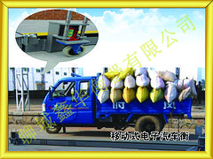 安徽大地磅——聊城高性價(jià)電子地磅【品牌推薦】