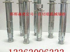 邯鄲哪里有賣得好的自切底機械錨栓 自切底機械錨栓廠家低價批發