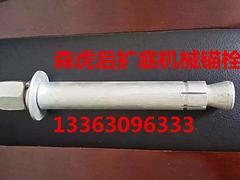 河北可靠的后擴底機械錨栓供應商是哪家——河北實力廠家后擴底機械錨栓