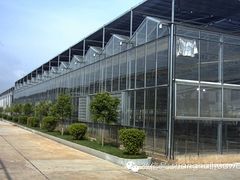 福建效果好的栽培大棚：寧德石斛溫室大棚