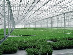 蔬菜大棚哪家好——實用的蔬菜大棚哪里有
