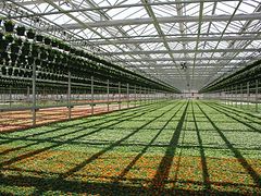 哪里有提供高性價栽培大棚_福州石斛溫室大棚