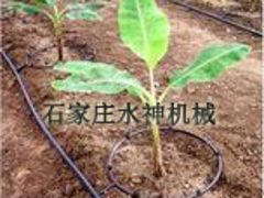 供應各種規(guī)格精度灌溉器