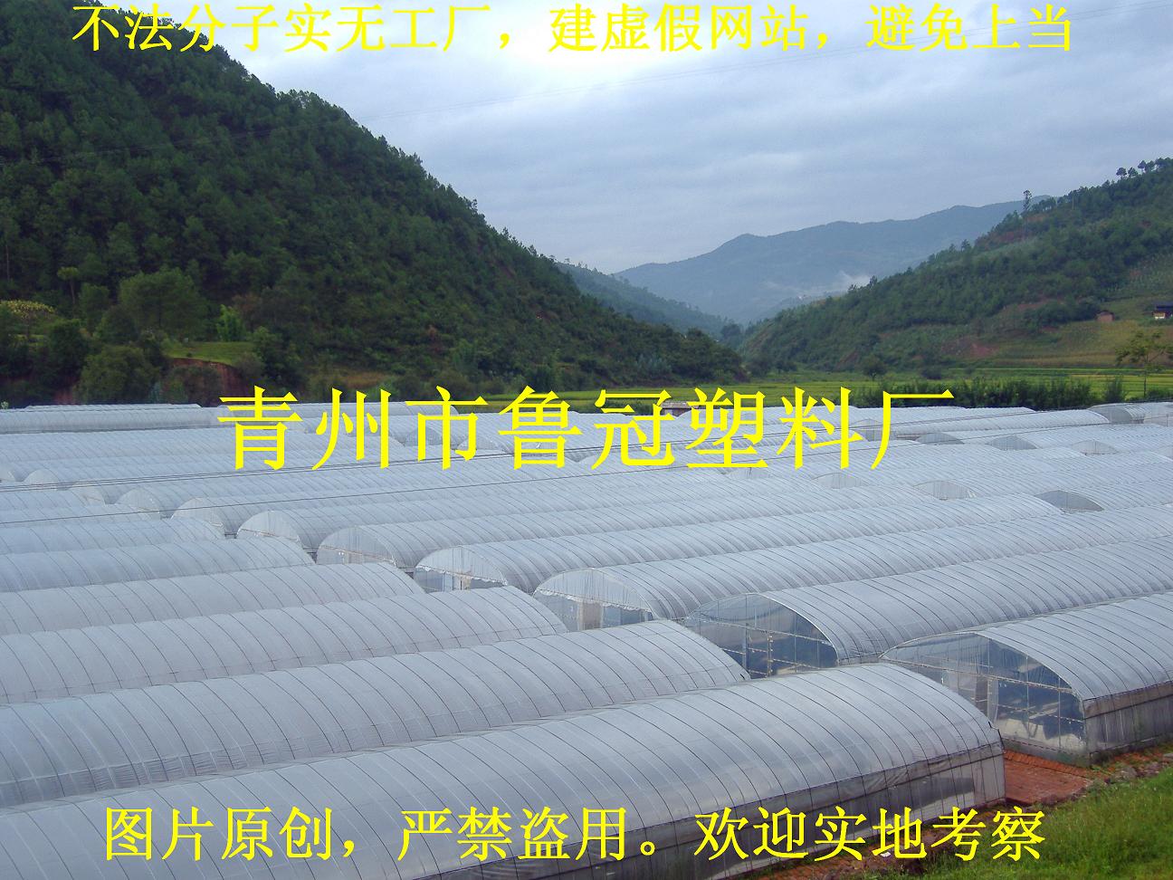 PE大棚膜價格||大棚膜生產廠家【【大棚膜供應商】】