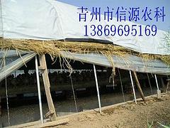 葡萄上色反光膜供應商：葡萄反光膜圖片