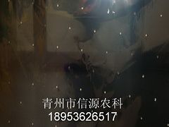 為您提供有品質的微孔蘋果反光膜資訊 滄州微孔蘋果反光膜