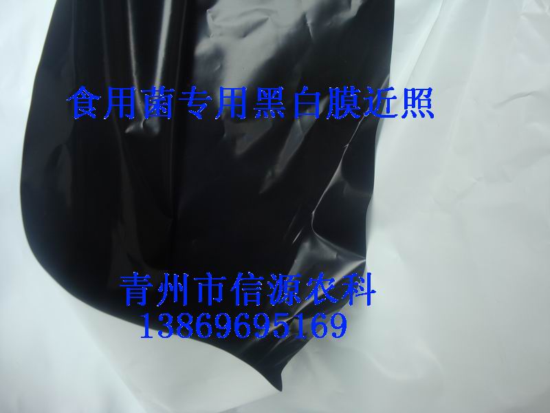 濰坊市驅鳥彩帶生產廠家【涵宇農業科技】