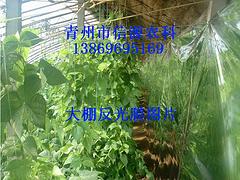 什么地方有賣優質食用菌遮陰黑白膜：專業生產食用菌專用黑白膜