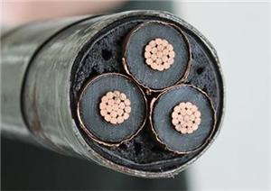 陽谷電纜-用戶只選擇耐克森，質量保證，專業品質，值得信賴！