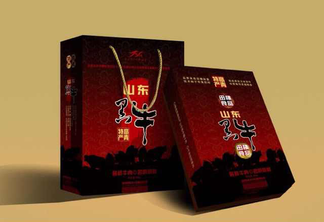 山東畫(huà)冊(cè)設(shè)計(jì)公司哪家好？歡迎你咨詢濟(jì)南海諾包裝。