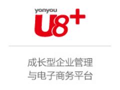 山东热门U8哪里有      价格划算的东营管理软件