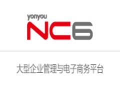 河口企業(yè)管理軟件|銷量好的NC6報(bào)價(jià)