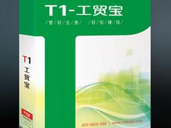 哪里有供應口碑好的T3財務標準版：T3財務標準版信息