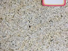 莆田芝麻黑花崗巖_福建優質G654芝麻黑供應商