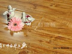 專(zhuān)業(yè)的品牌木地板代理 【薦】?jī)r(jià)格合理的地板_廠(chǎng)家直銷(xiāo)