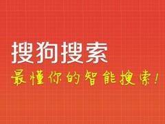 主流的搜狗搜索，258集團(tuán)是首要選擇：搜狗濰坊總代