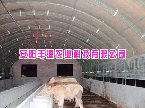 河南養殖大棚價格-安陽豐源農業