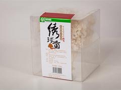 報價合理的繡球菌，品牌好的繡球菌批發(fā)市場推薦