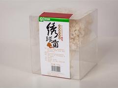 去哪找聲譽好的繡球菌公司 繡球菌價格