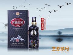 天水青稞酒招商|熱銷青稞窖酒生態原漿貳號蘭州供應