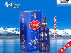 呼倫貝爾青稞酒批發(fā) 甘肅新品青稞窖酒供應