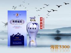 白銀青稞酒加盟——供應(yīng)蘭州物超所值的青稞窖酒