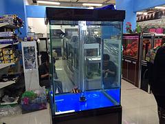 水族魚缸哪里買比較好：水族魚缸批發(fā)