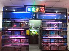 精品水族館廠家推薦，生態(tài)魚缸價格